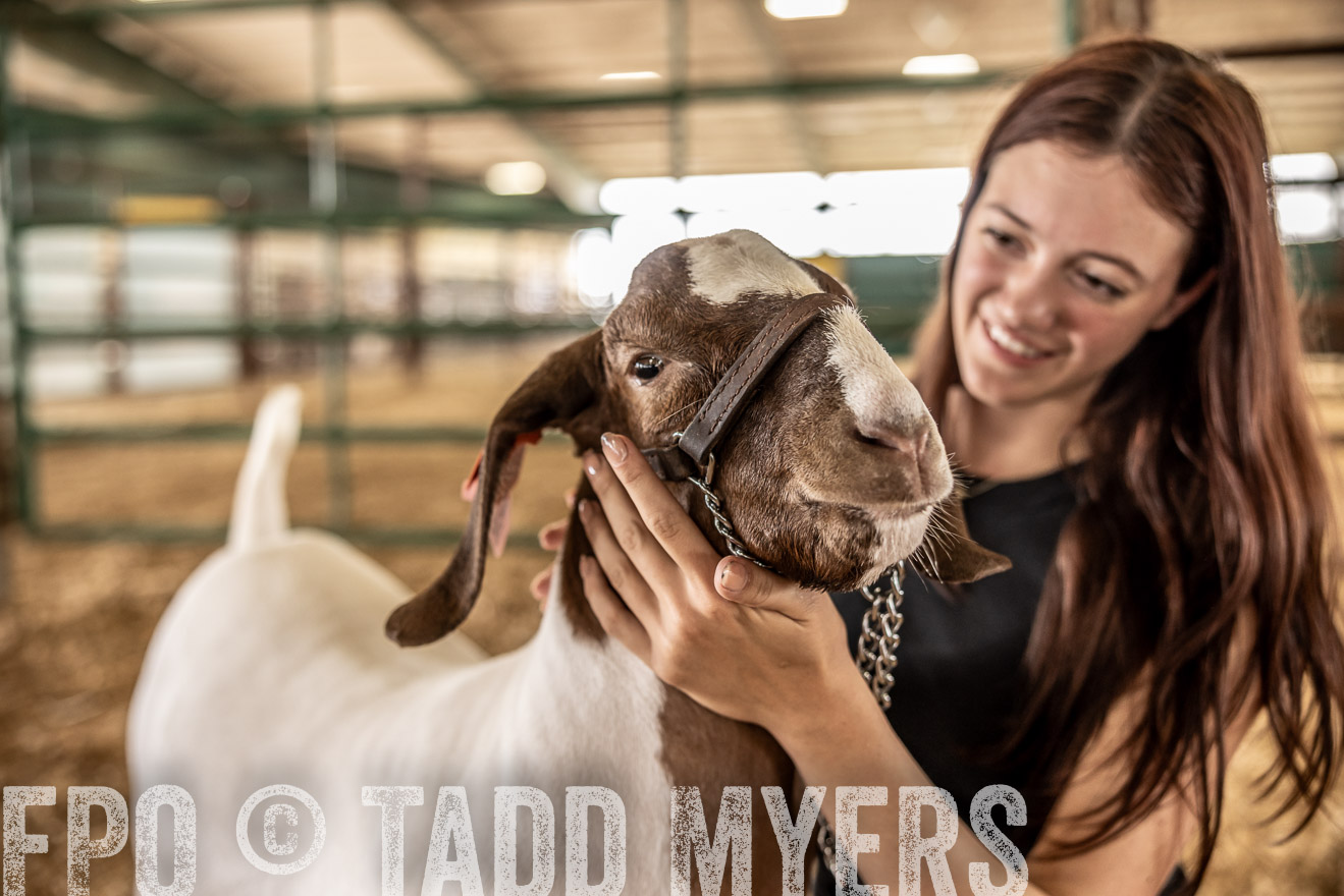 TMyers_PlotTwist_HEB_ConroeTX_April2024-517634
