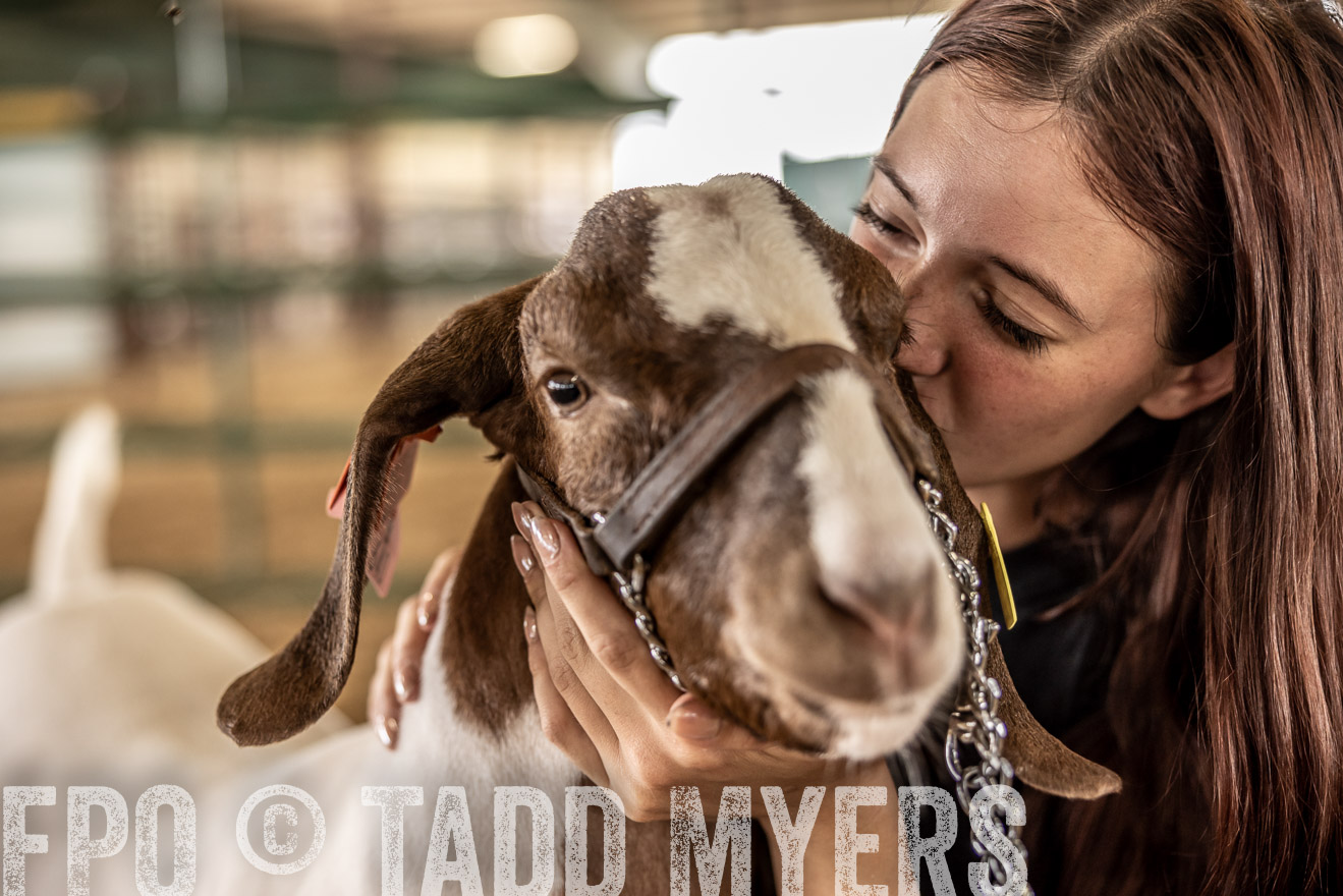 TMyers_PlotTwist_HEB_ConroeTX_April2024-517637