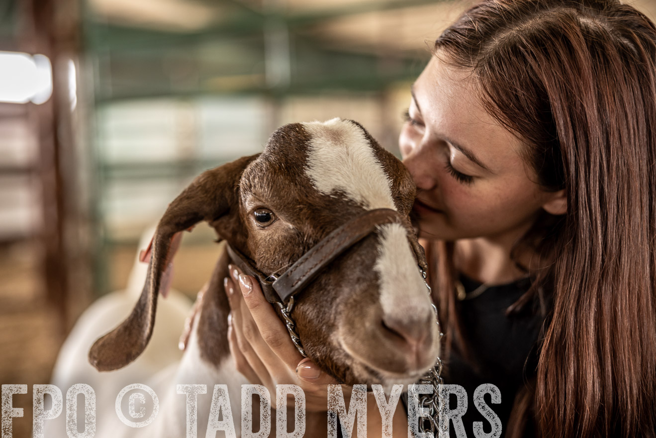 TMyers_PlotTwist_HEB_ConroeTX_April2024-517642