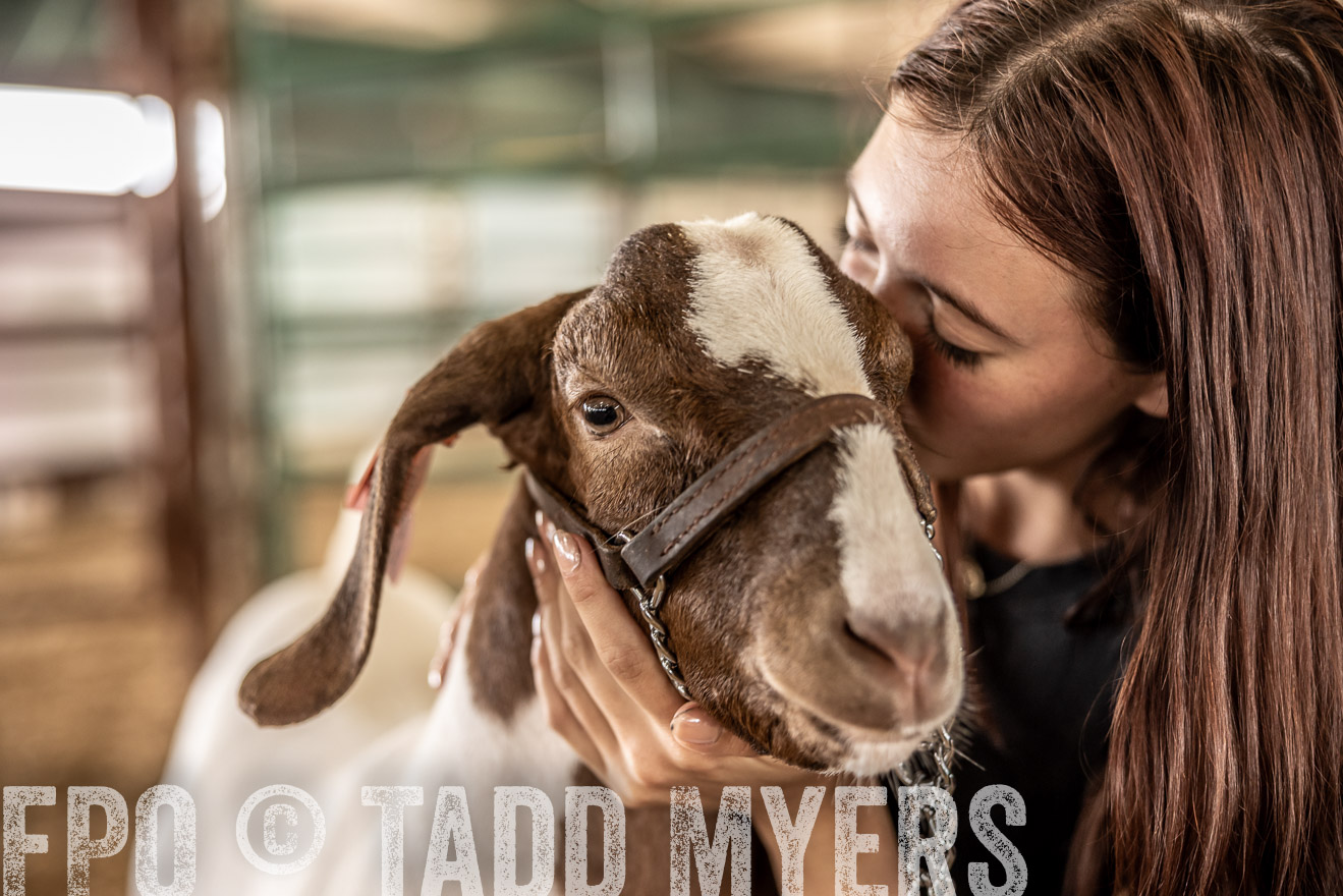 TMyers_PlotTwist_HEB_ConroeTX_April2024-517643