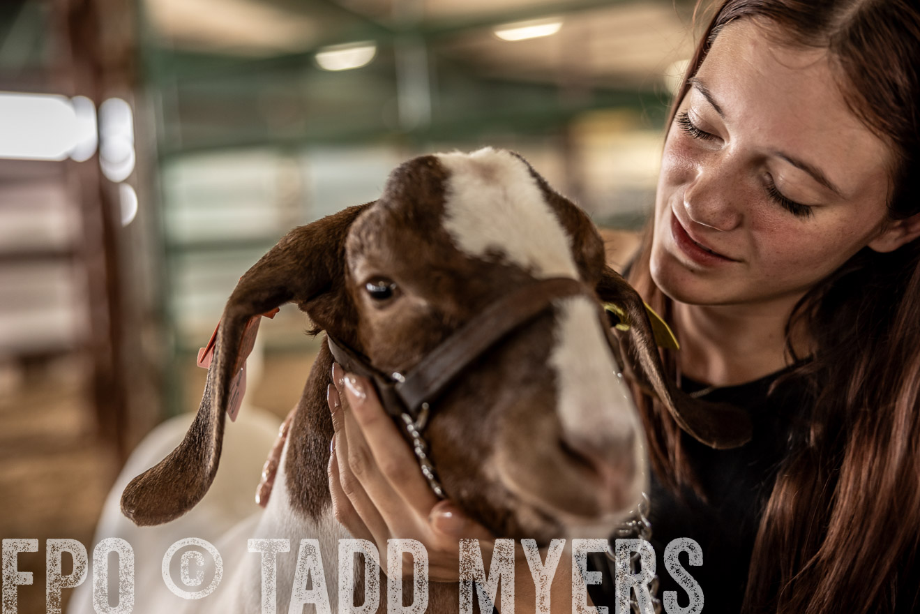 TMyers_PlotTwist_HEB_ConroeTX_April2024-517646