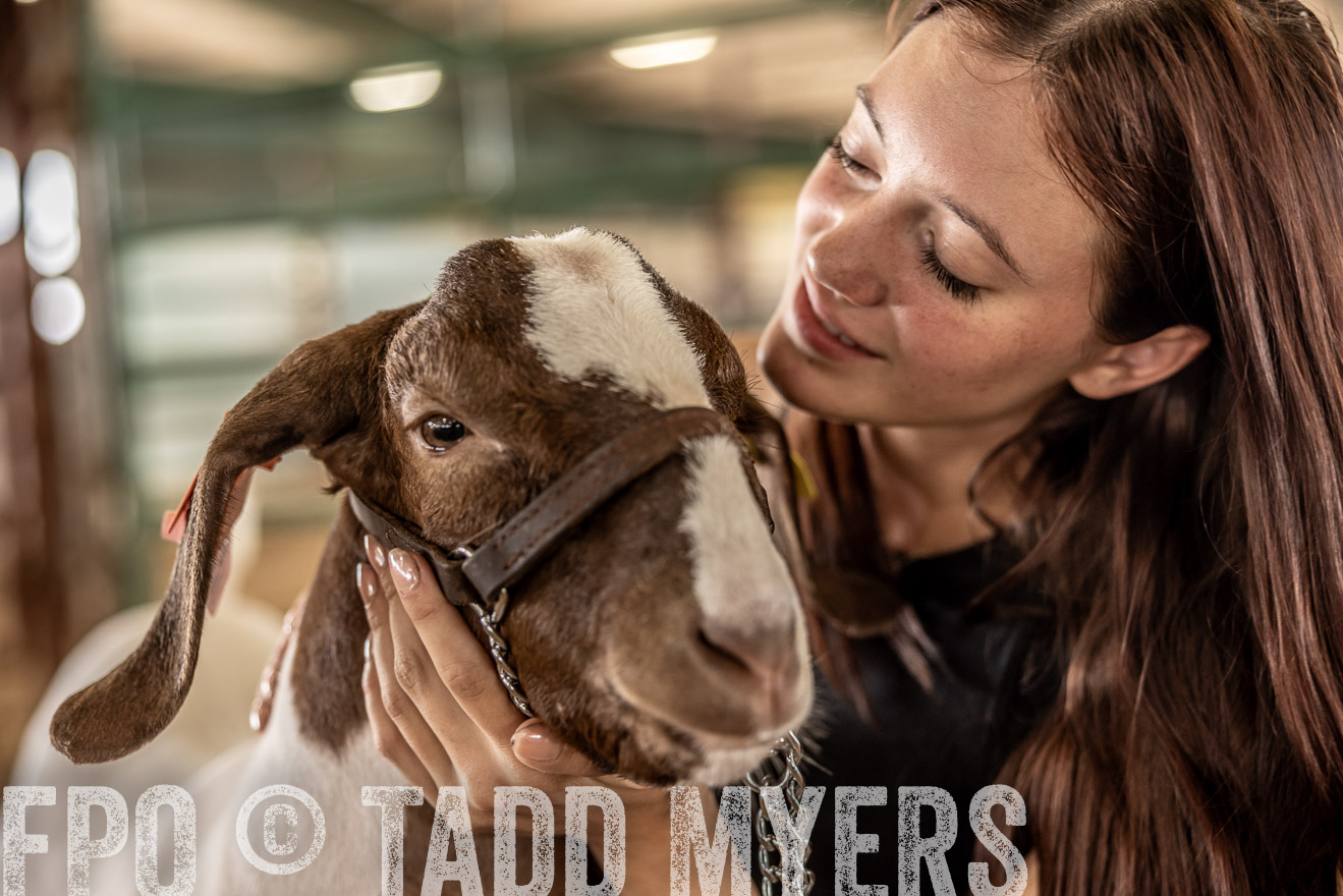 TMyers_PlotTwist_HEB_ConroeTX_April2024-517651