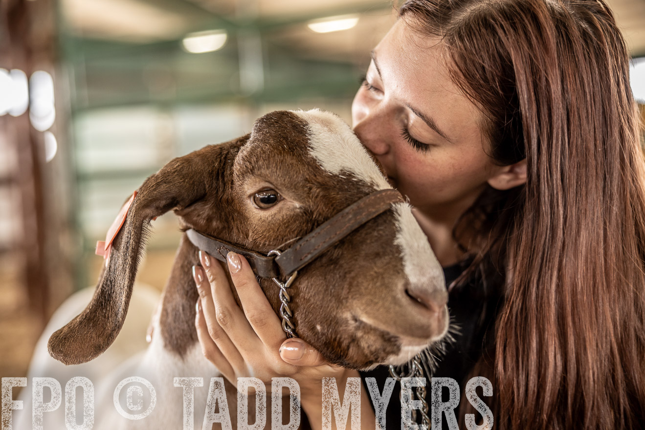 TMyers_PlotTwist_HEB_ConroeTX_April2024-517652
