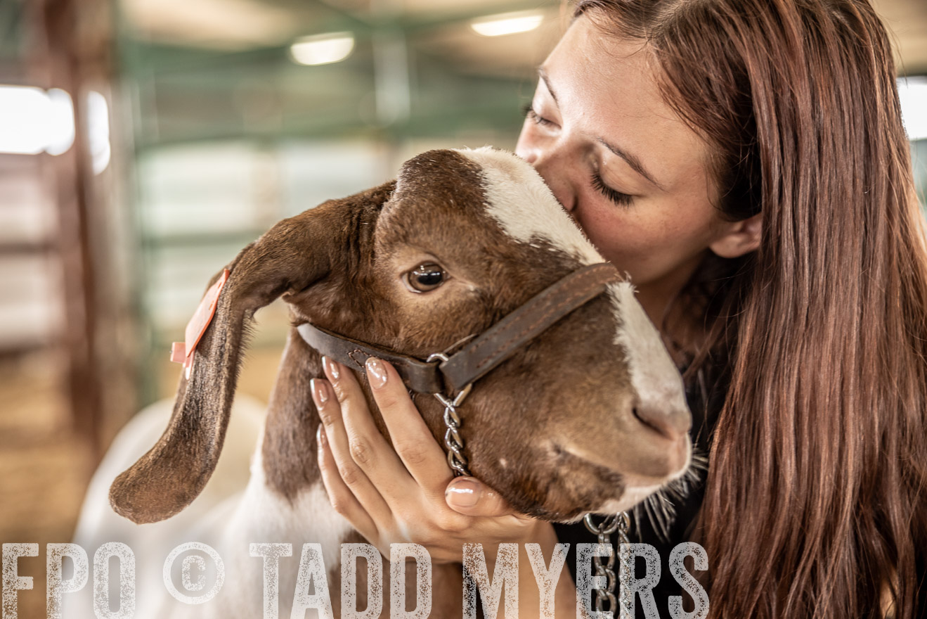 TMyers_PlotTwist_HEB_ConroeTX_April2024-517654