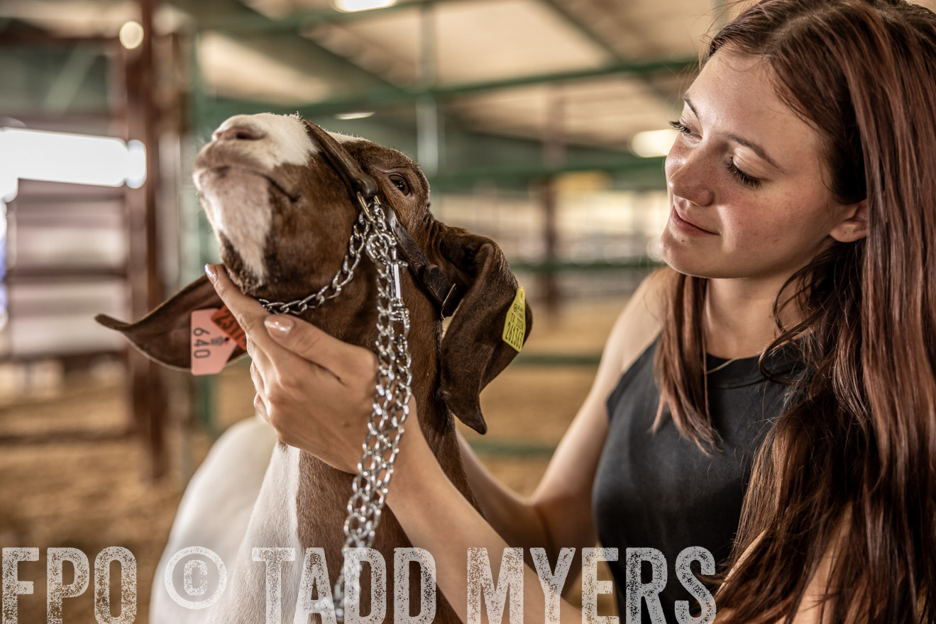 TMyers_PlotTwist_HEB_ConroeTX_April2024-517667