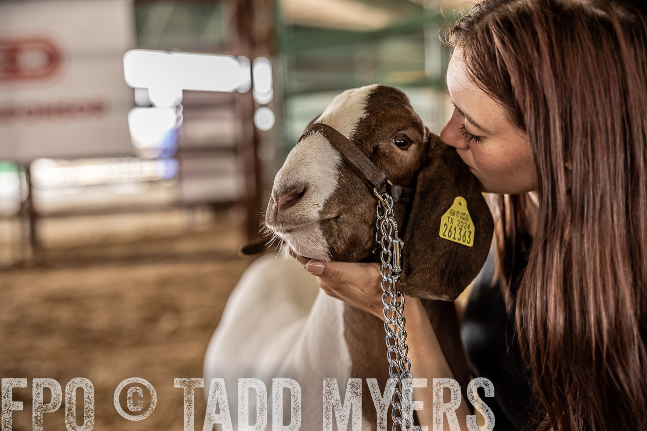 TMyers_PlotTwist_HEB_ConroeTX_April2024-517671