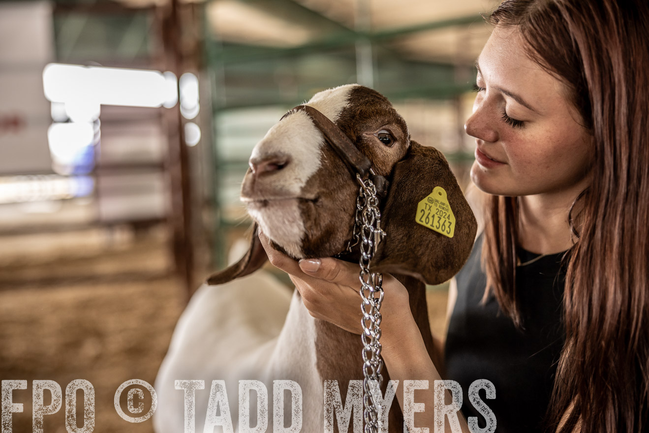 TMyers_PlotTwist_HEB_ConroeTX_April2024-517677