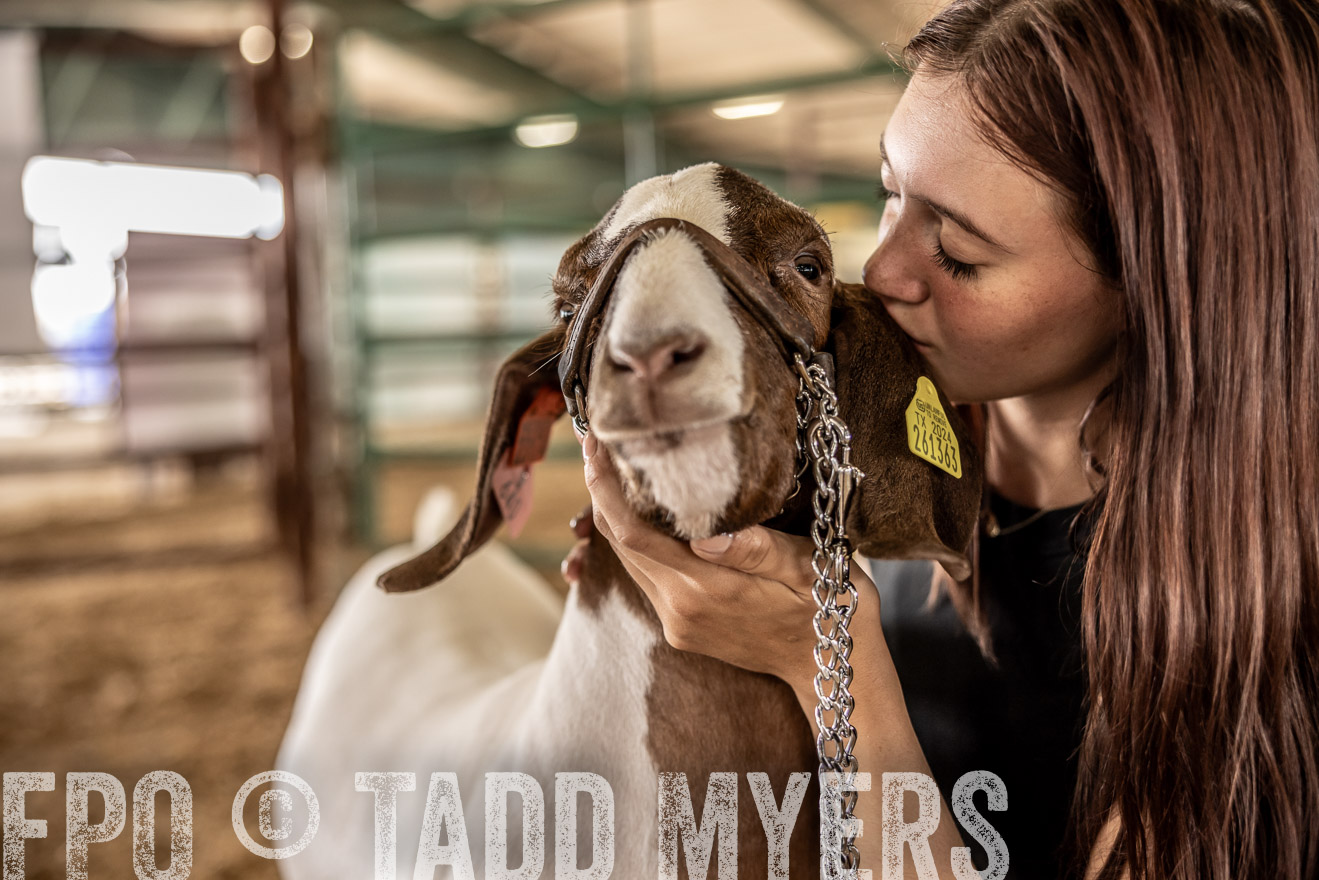 TMyers_PlotTwist_HEB_ConroeTX_April2024-517687