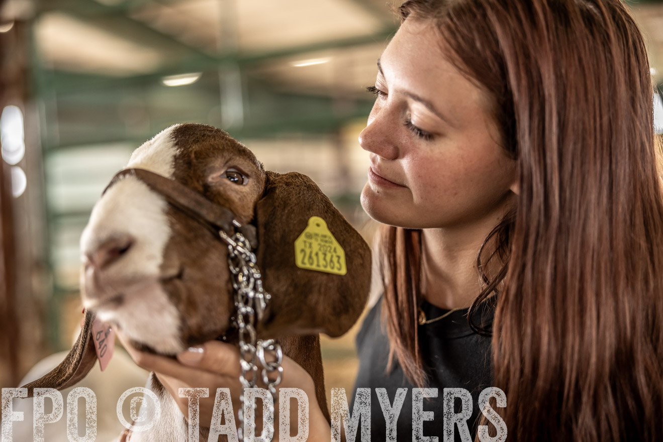 TMyers_PlotTwist_HEB_ConroeTX_April2024-517695