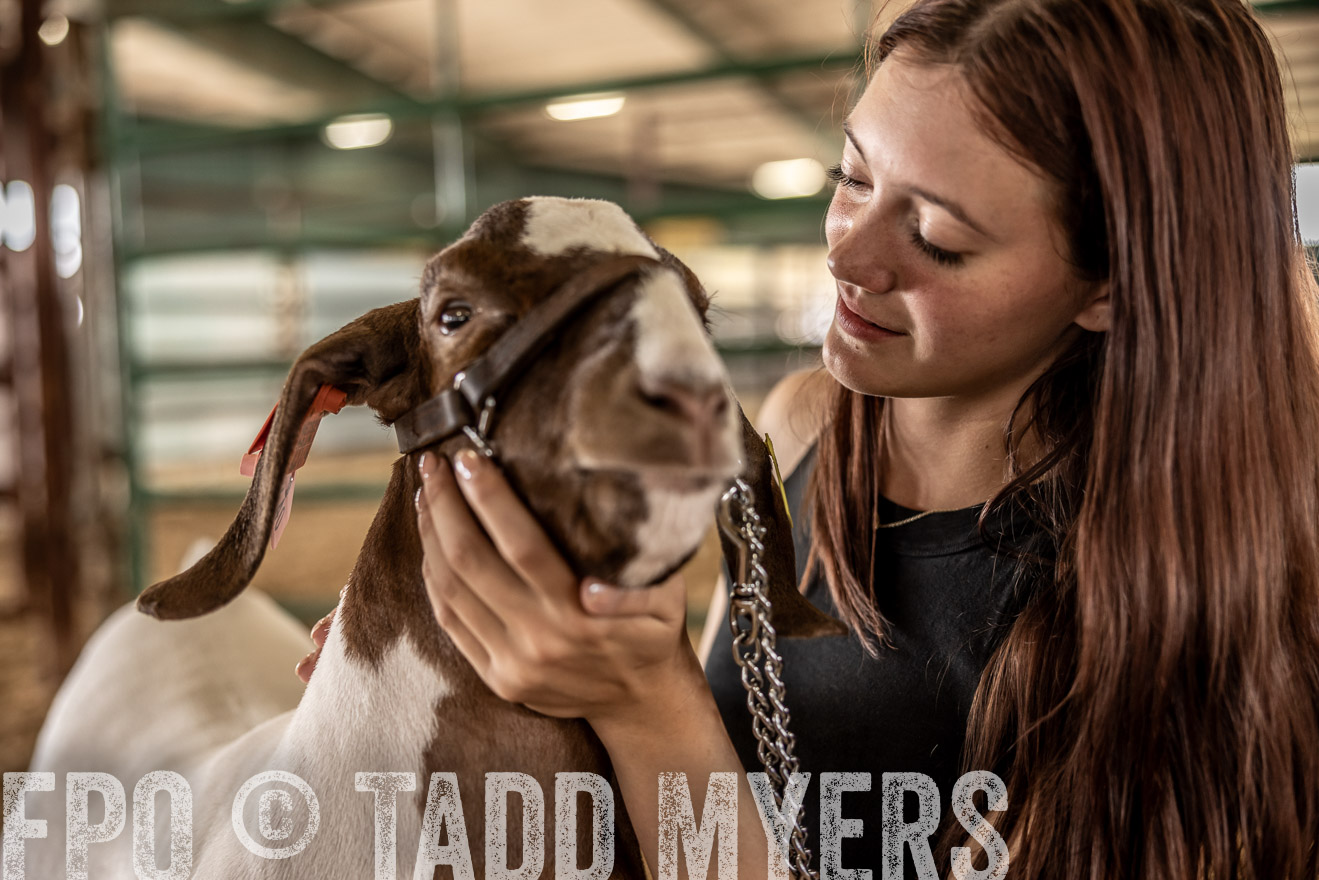 TMyers_PlotTwist_HEB_ConroeTX_April2024-517705