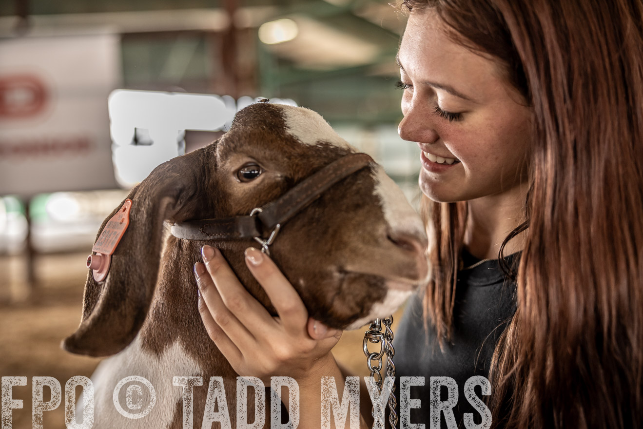 TMyers_PlotTwist_HEB_ConroeTX_April2024-517721