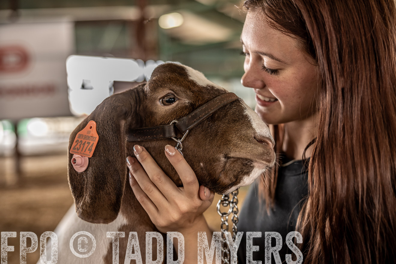 TMyers_PlotTwist_HEB_ConroeTX_April2024-517723