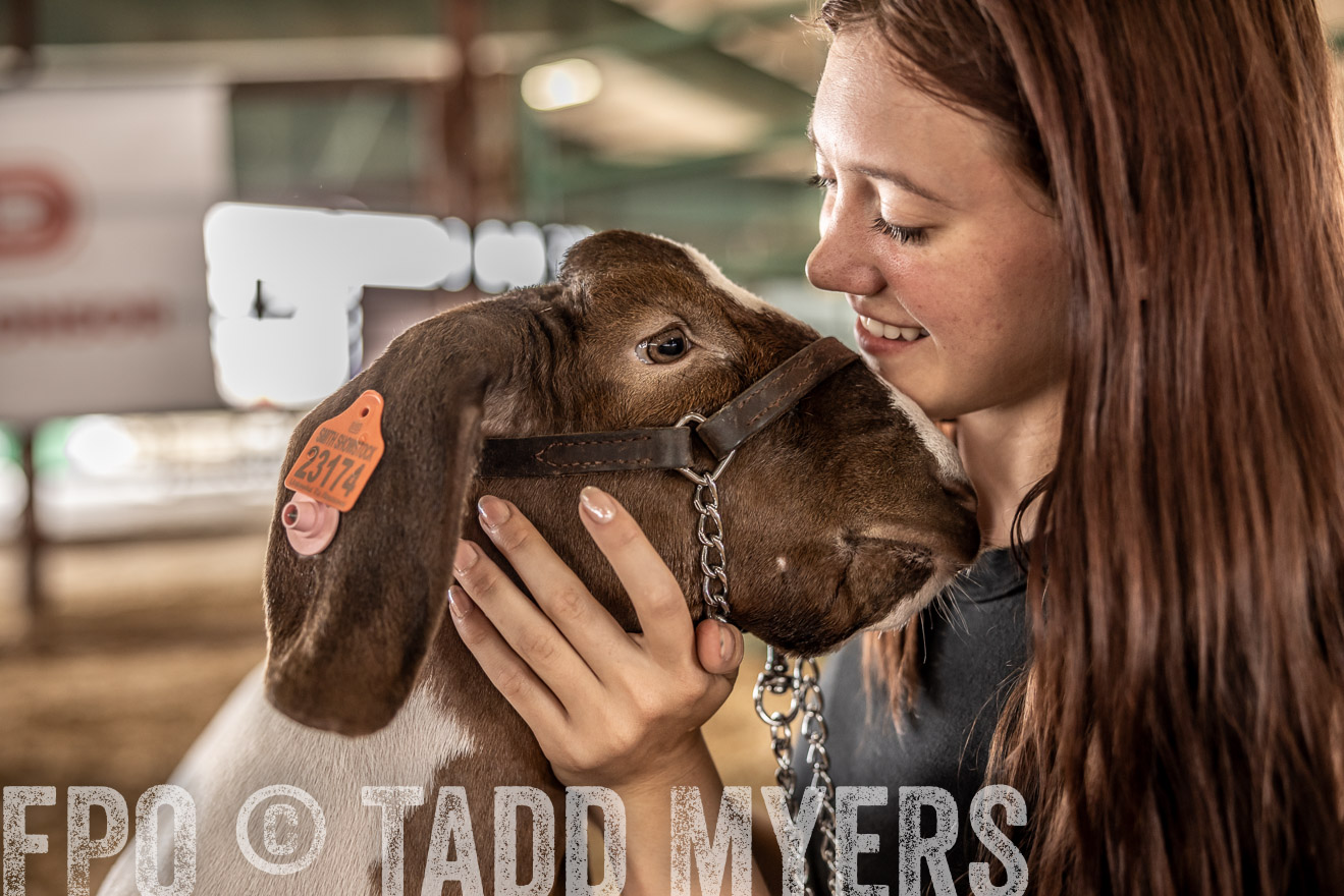 TMyers_PlotTwist_HEB_ConroeTX_April2024-517724