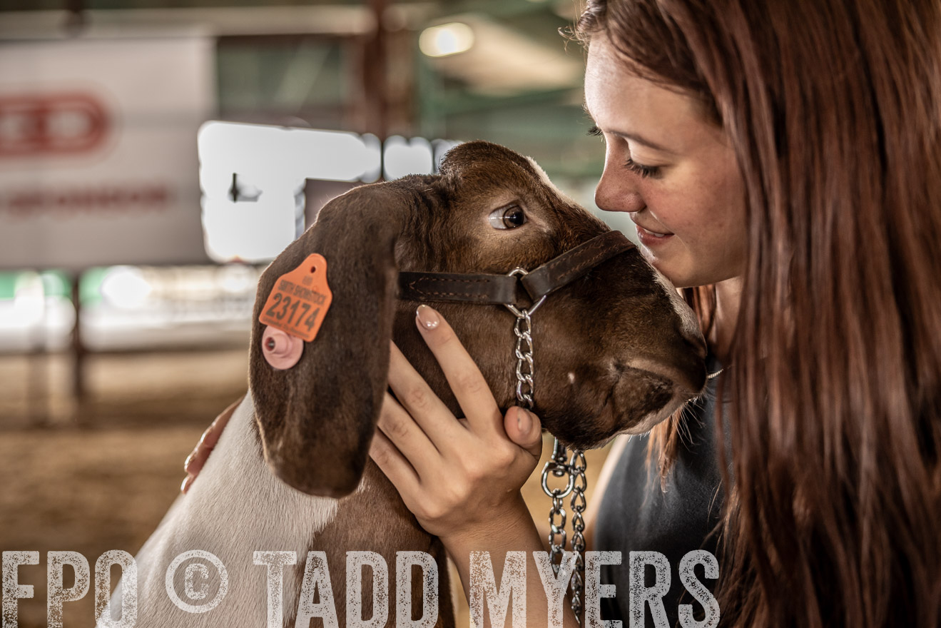 TMyers_PlotTwist_HEB_ConroeTX_April2024-517728