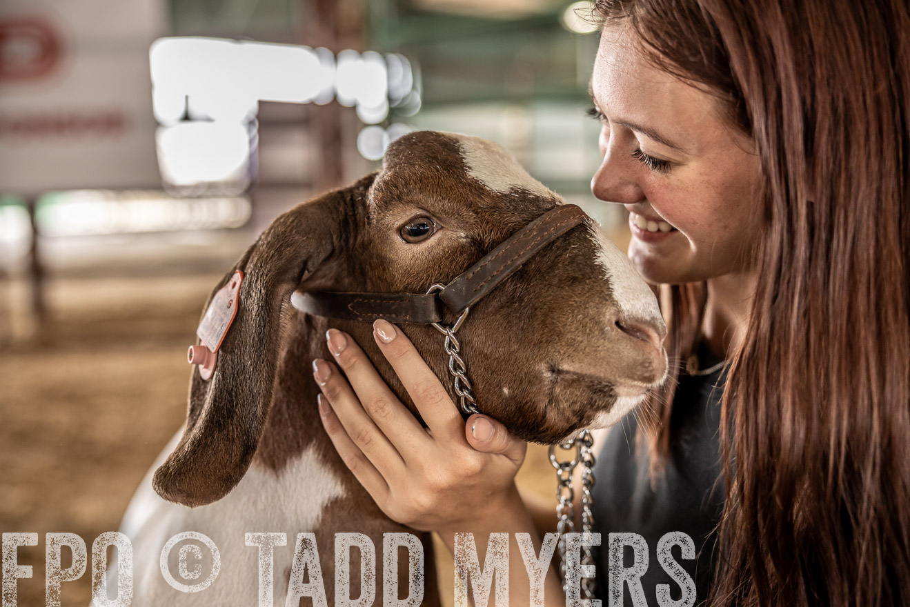 TMyers_PlotTwist_HEB_ConroeTX_April2024-517733