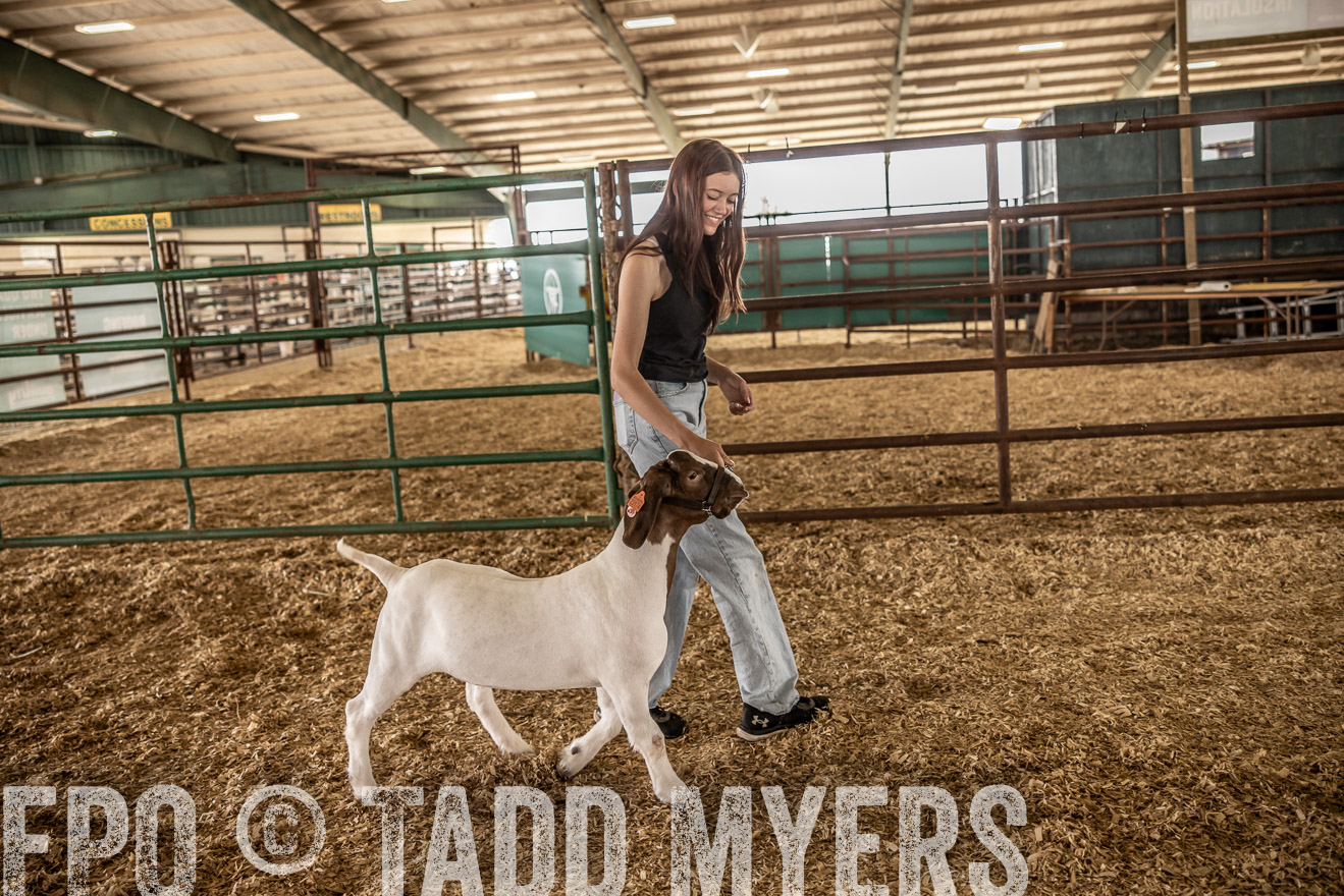 TMyers_PlotTwist_HEB_ConroeTX_April2024-517787