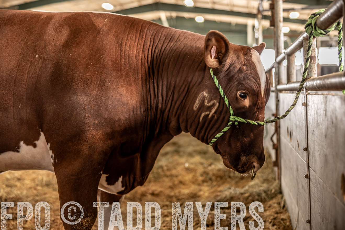 TMyers_PlotTwist_HEB_ConroeTX_April2024-517812