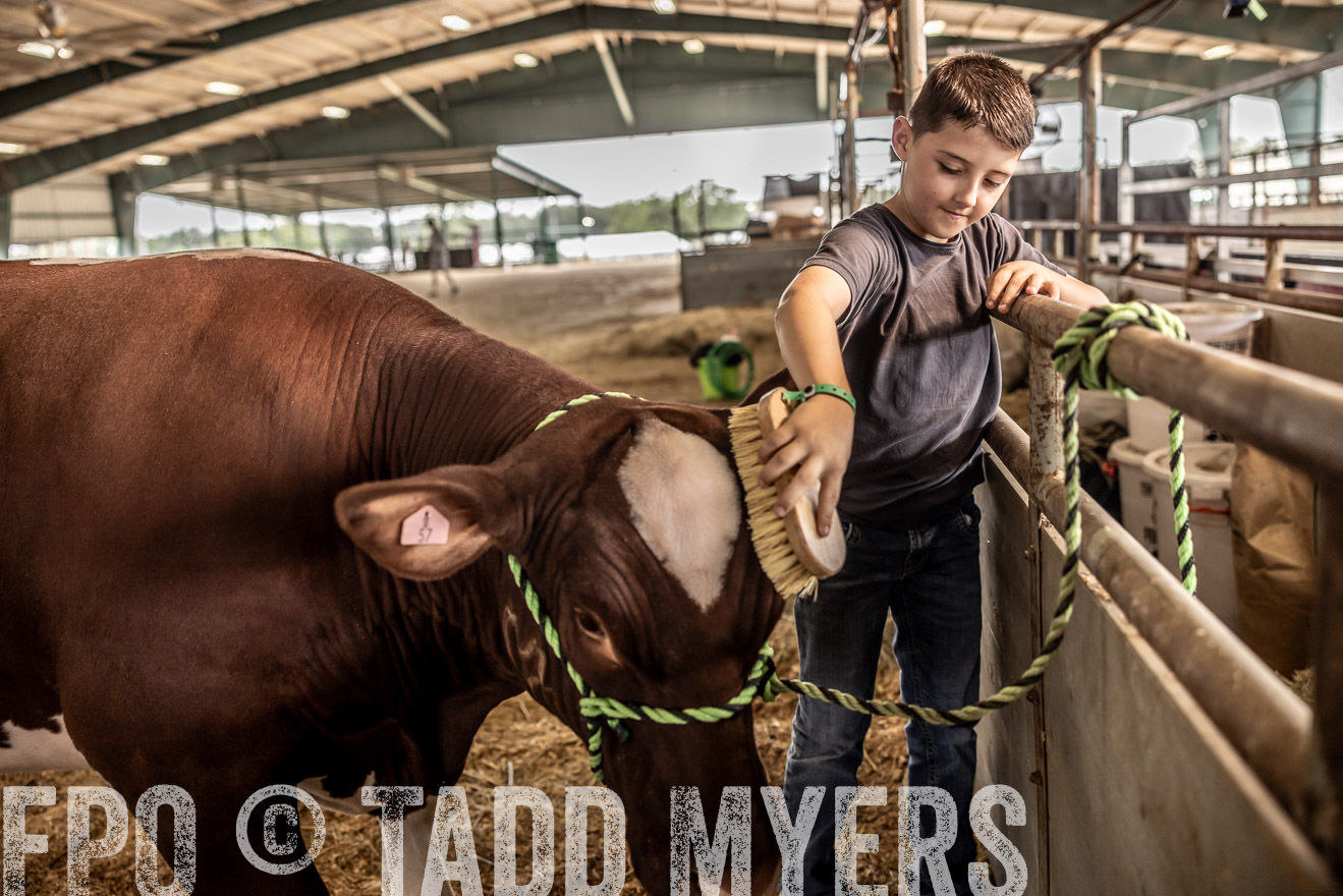 TMyers_PlotTwist_HEB_ConroeTX_April2024-517826