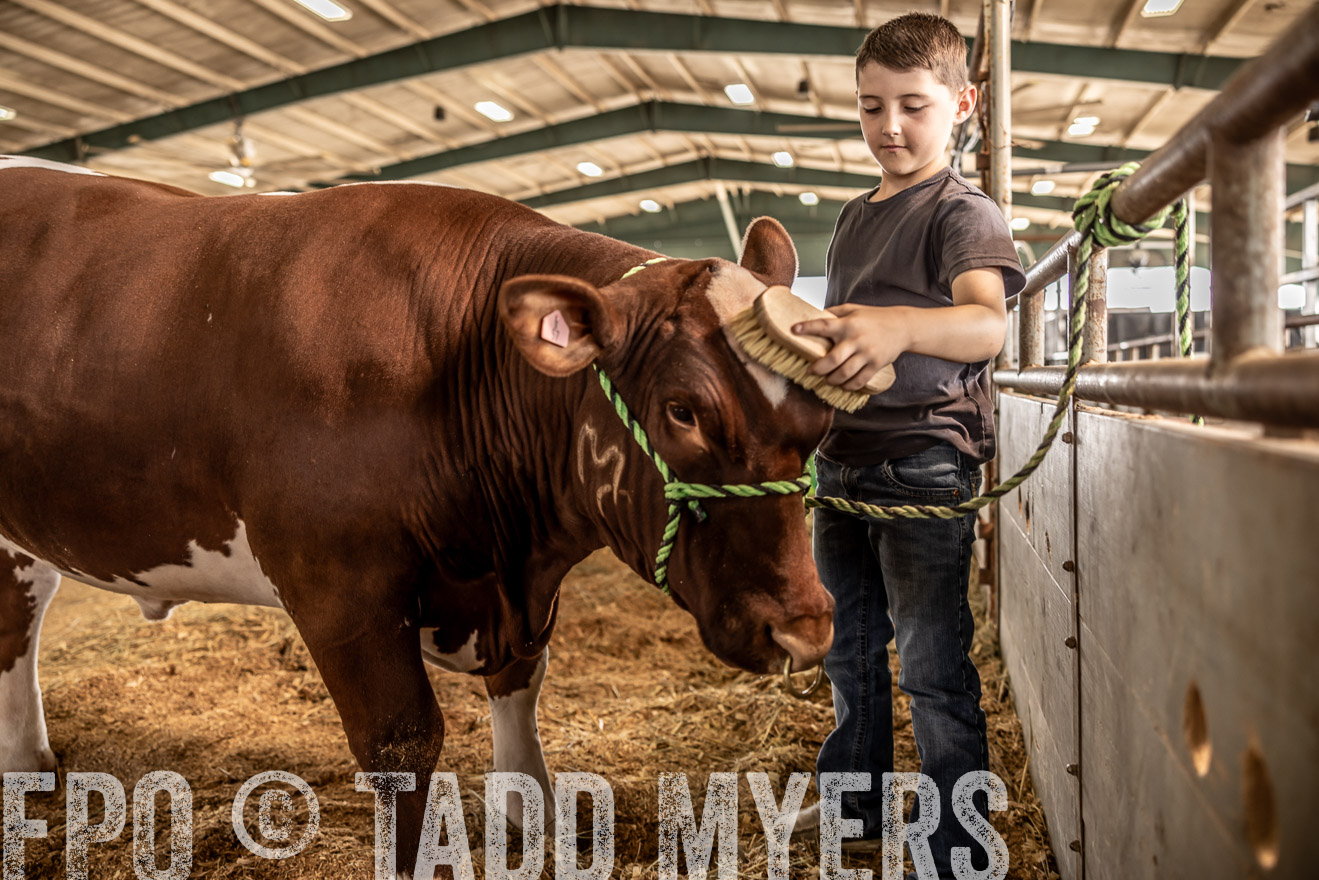 TMyers_PlotTwist_HEB_ConroeTX_April2024-517837