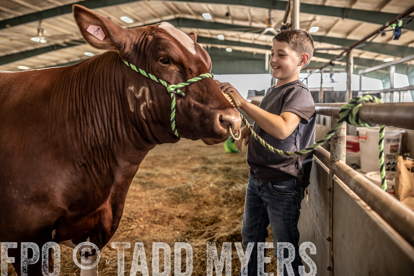 TMyers_PlotTwist_HEB_ConroeTX_April2024-517847