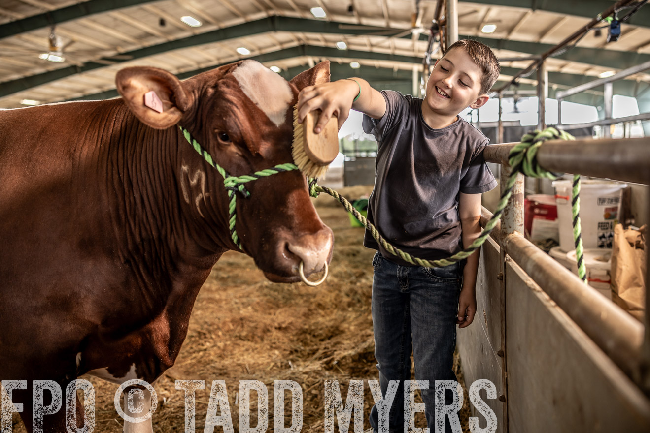 TMyers_PlotTwist_HEB_ConroeTX_April2024-517854