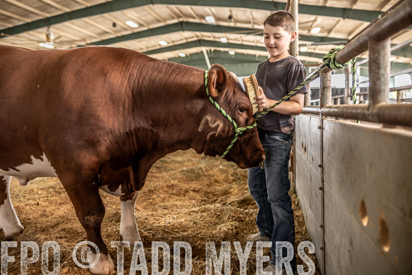 TMyers_PlotTwist_HEB_ConroeTX_April2024-517861