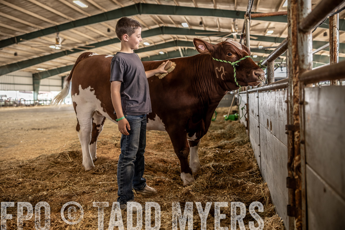 TMyers_PlotTwist_HEB_ConroeTX_April2024-517871