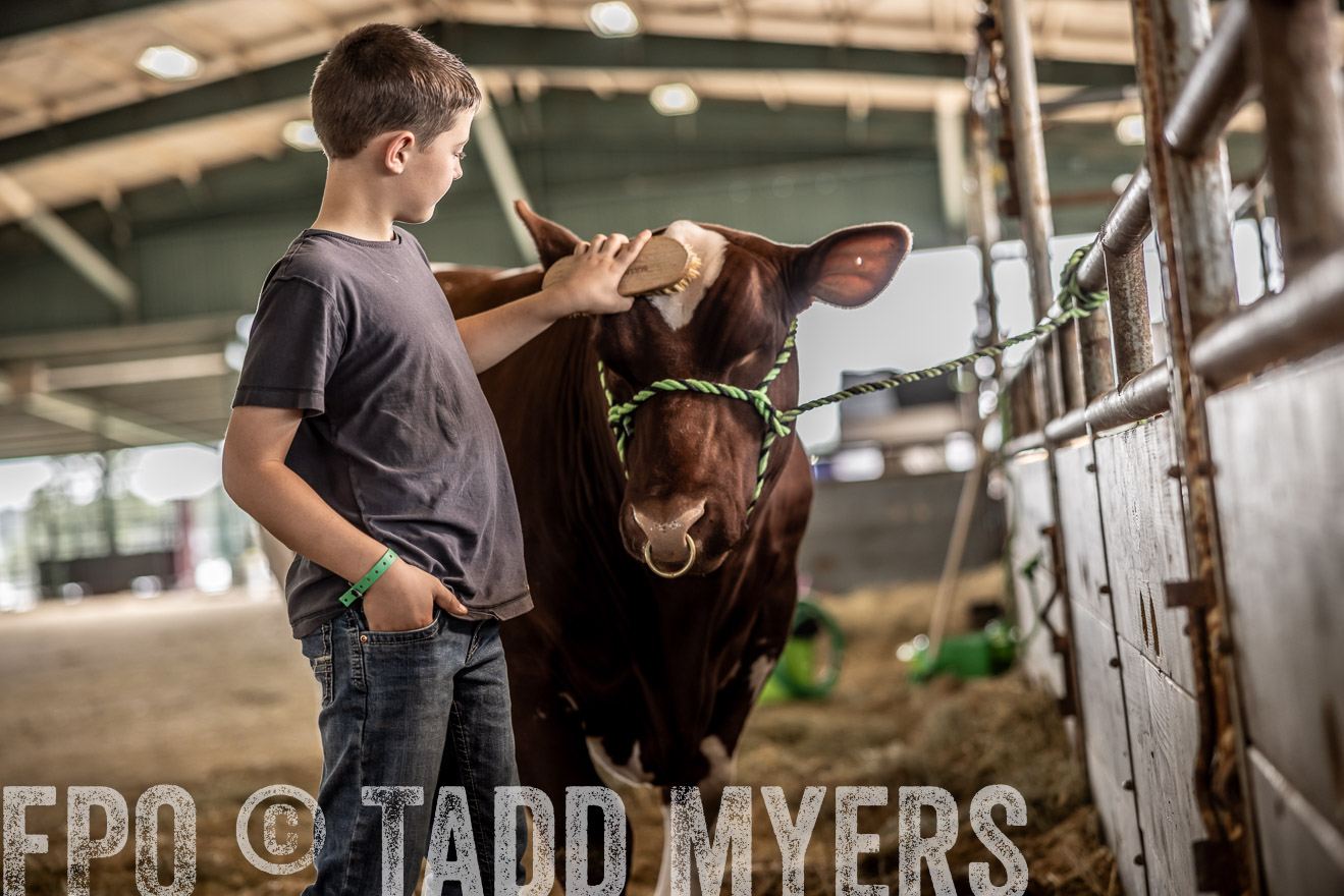 TMyers_PlotTwist_HEB_ConroeTX_April2024-517922