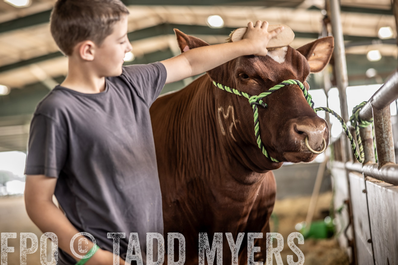 TMyers_PlotTwist_HEB_ConroeTX_April2024-517931