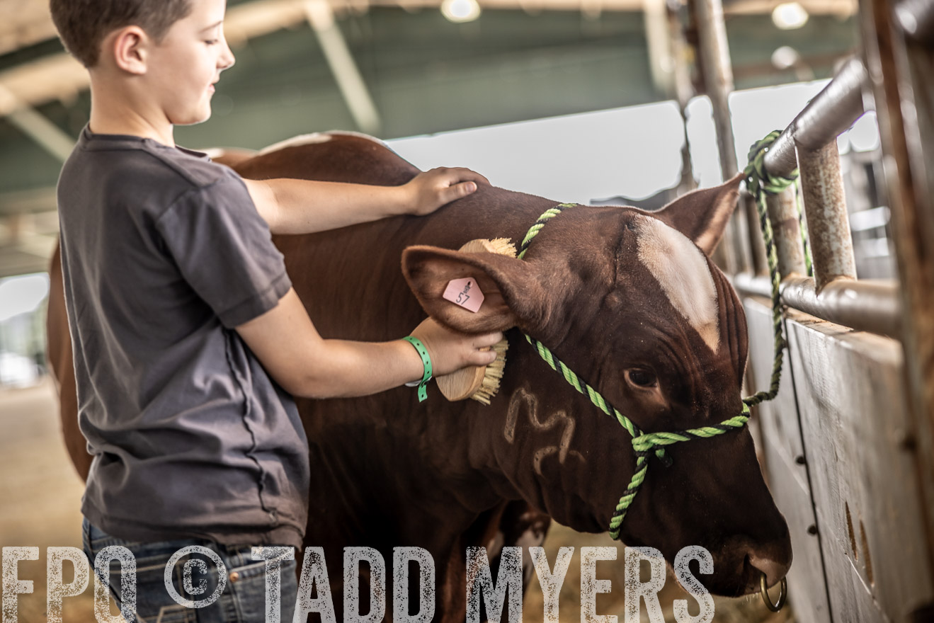TMyers_PlotTwist_HEB_ConroeTX_April2024-517944