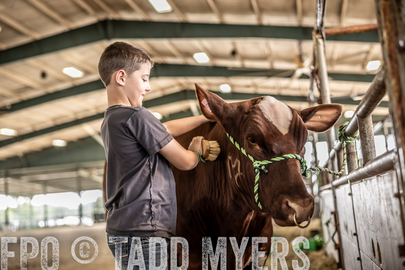 TMyers_PlotTwist_HEB_ConroeTX_April2024-517950