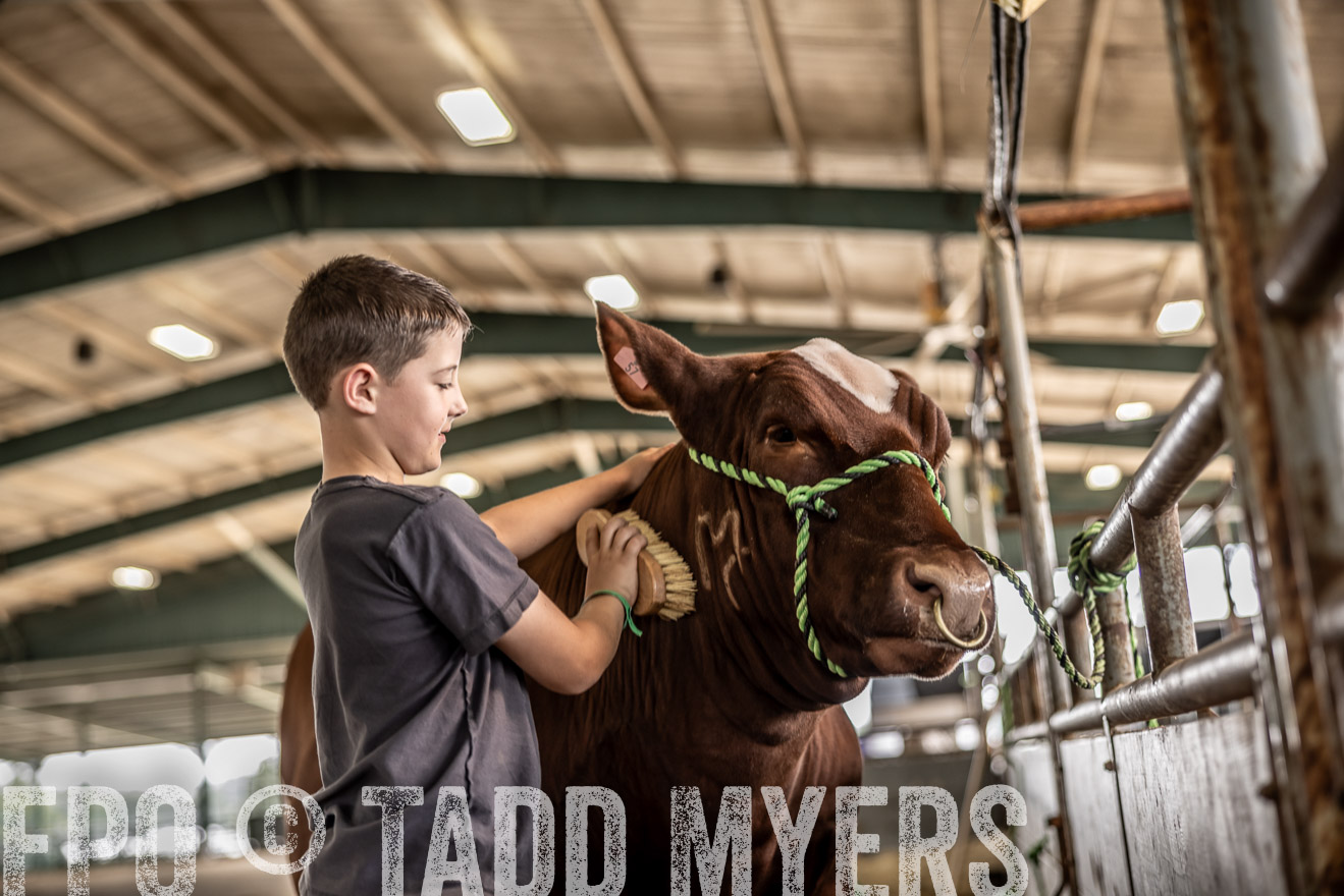 TMyers_PlotTwist_HEB_ConroeTX_April2024-517952