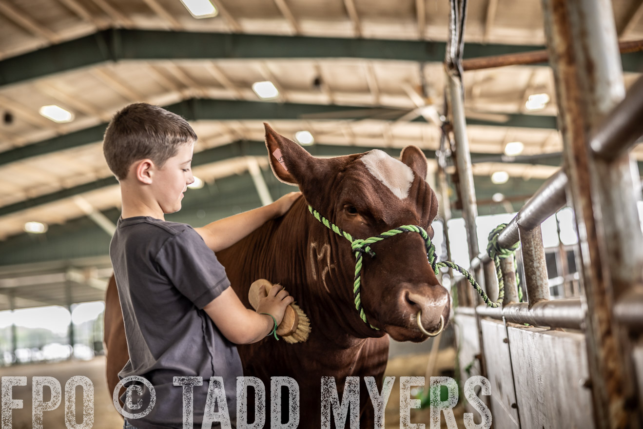 TMyers_PlotTwist_HEB_ConroeTX_April2024-517953