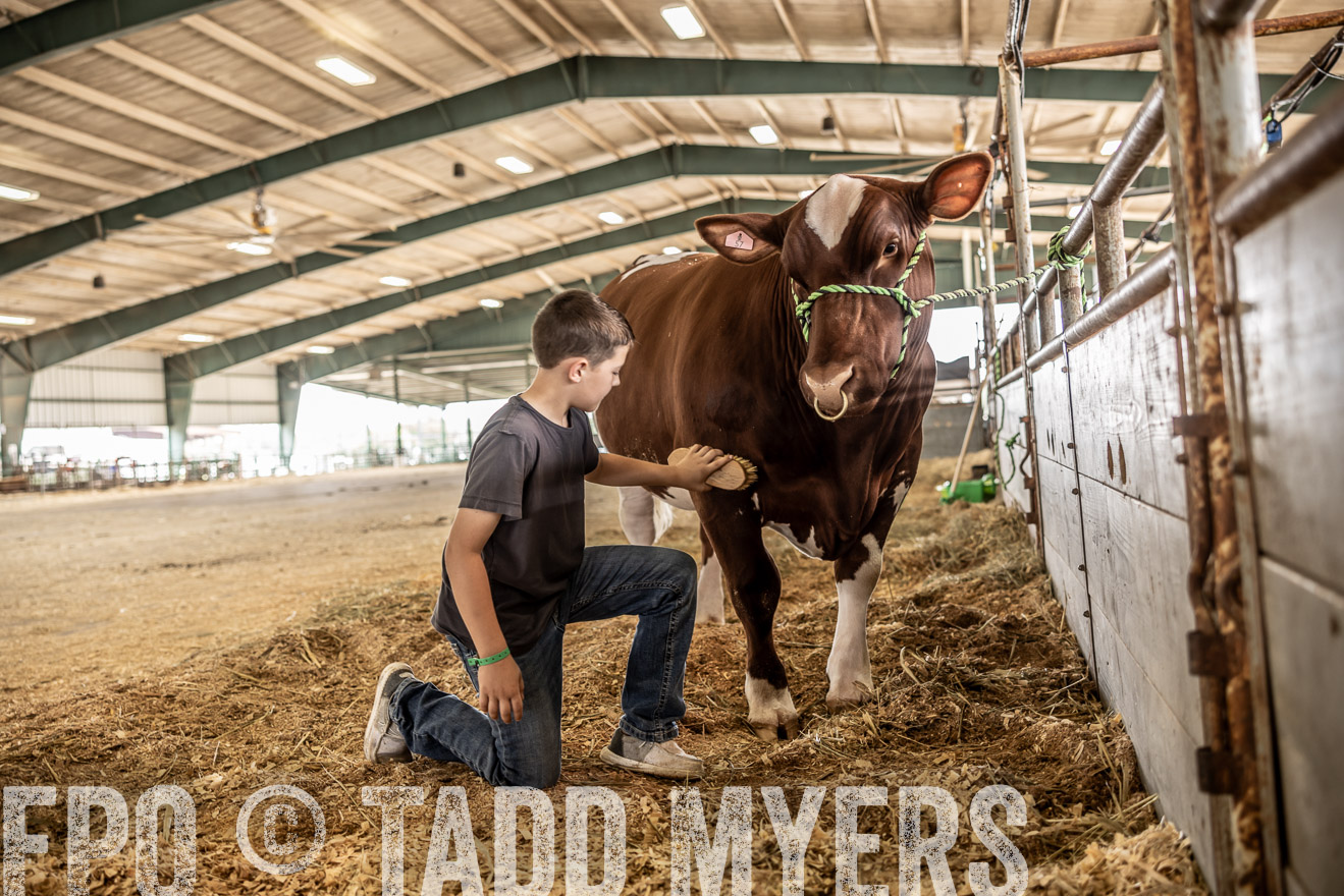 TMyers_PlotTwist_HEB_ConroeTX_April2024-517974