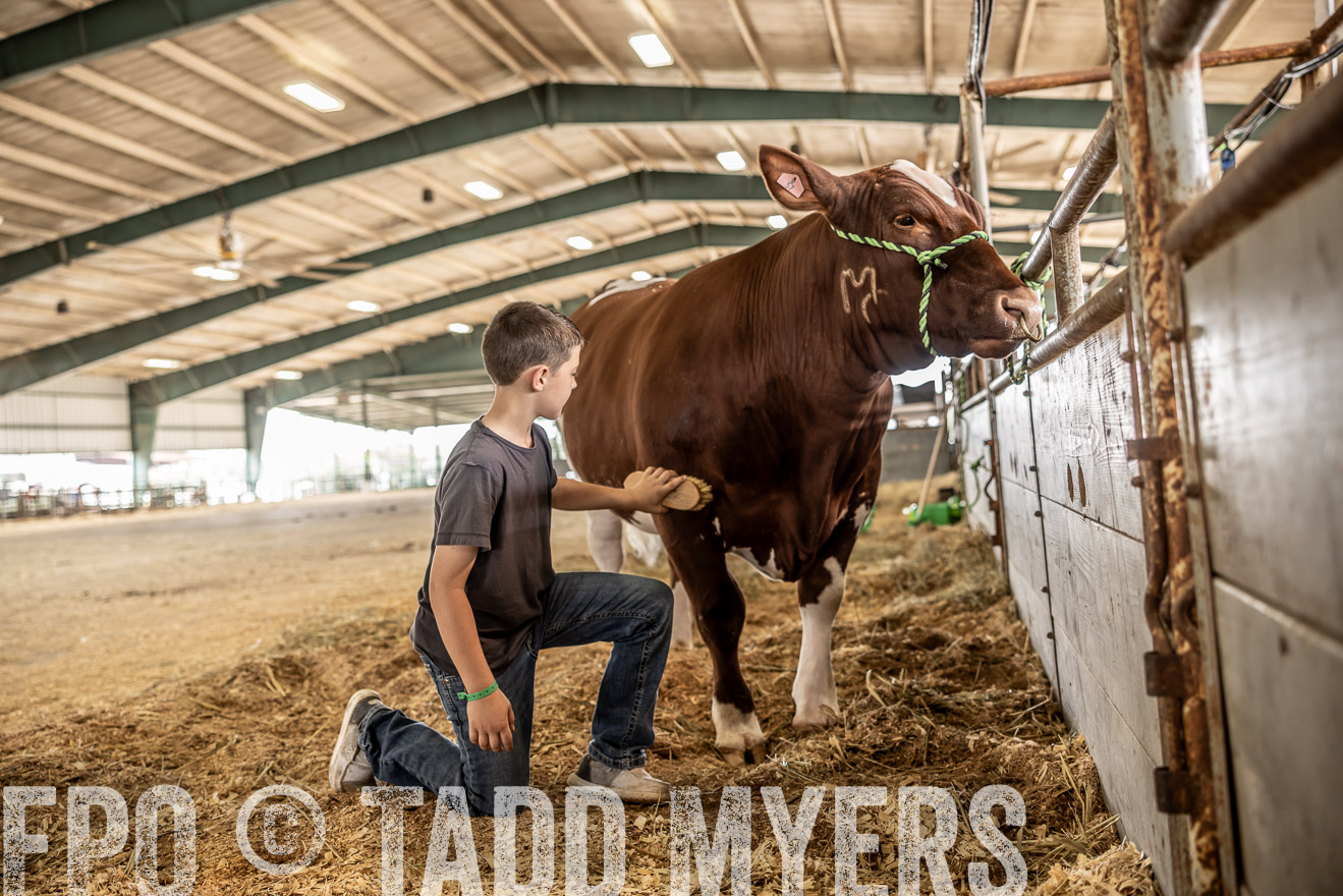 TMyers_PlotTwist_HEB_ConroeTX_April2024-517976