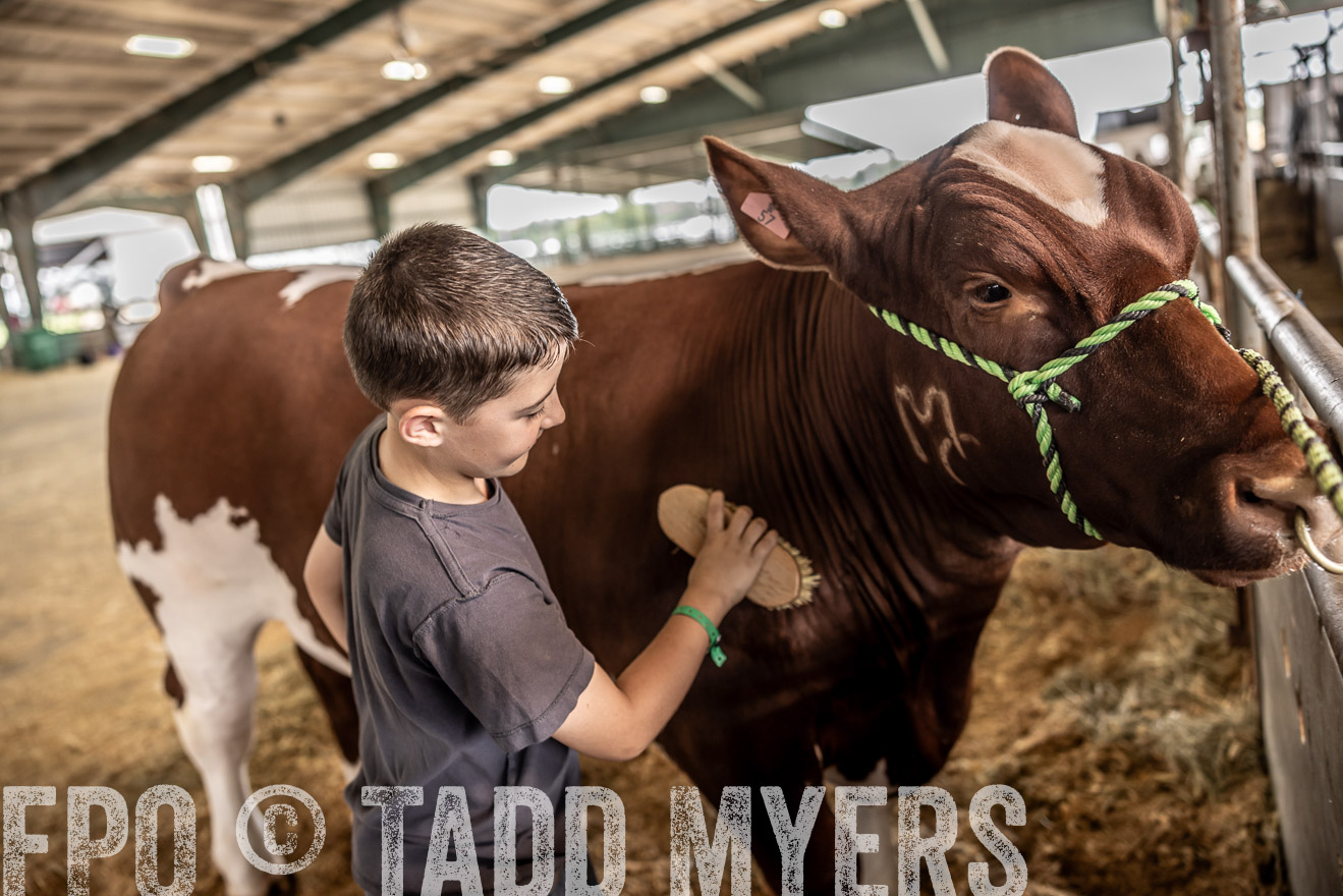 TMyers_PlotTwist_HEB_ConroeTX_April2024-517989