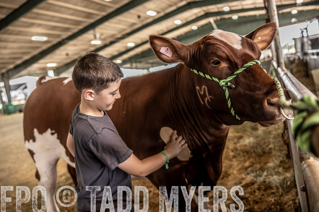 TMyers_PlotTwist_HEB_ConroeTX_April2024-517991