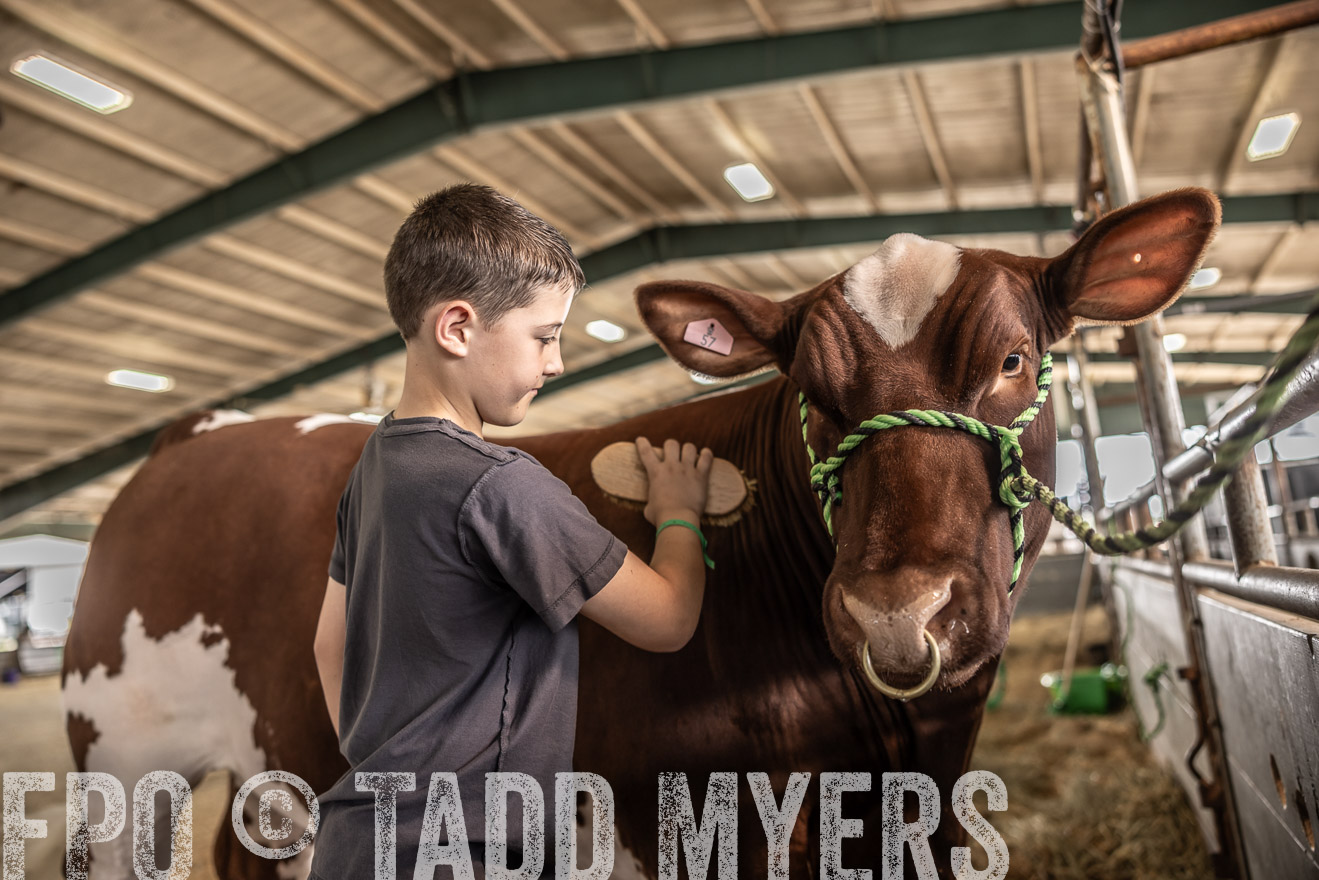 TMyers_PlotTwist_HEB_ConroeTX_April2024-517996