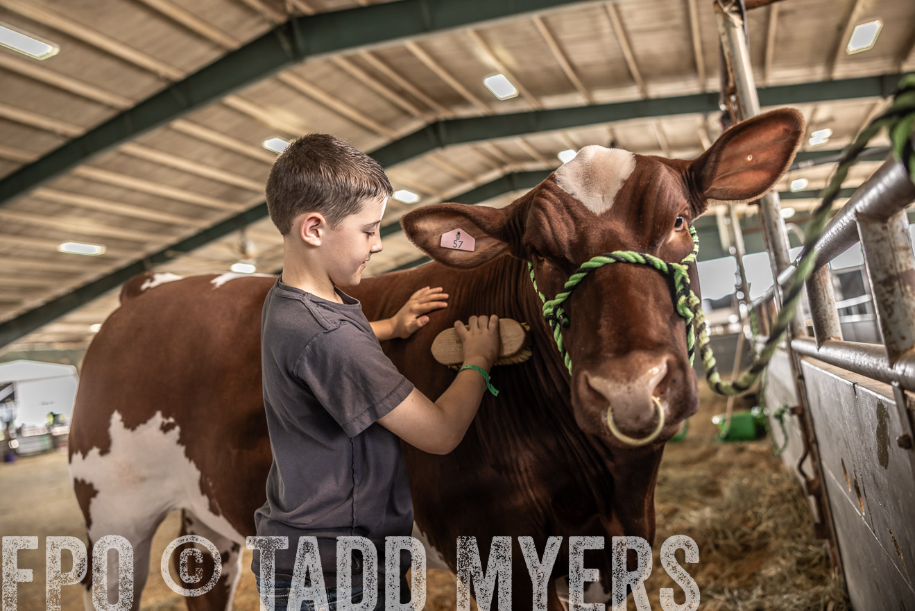 TMyers_PlotTwist_HEB_ConroeTX_April2024-518004