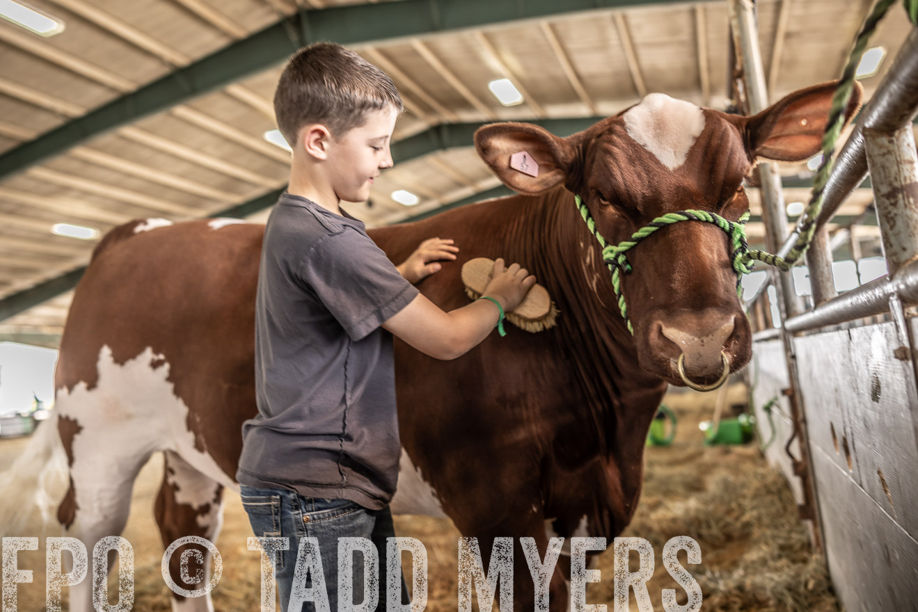 TMyers_PlotTwist_HEB_ConroeTX_April2024-518009