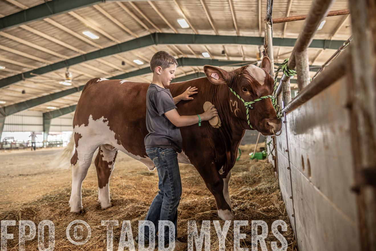 TMyers_PlotTwist_HEB_ConroeTX_April2024-518010