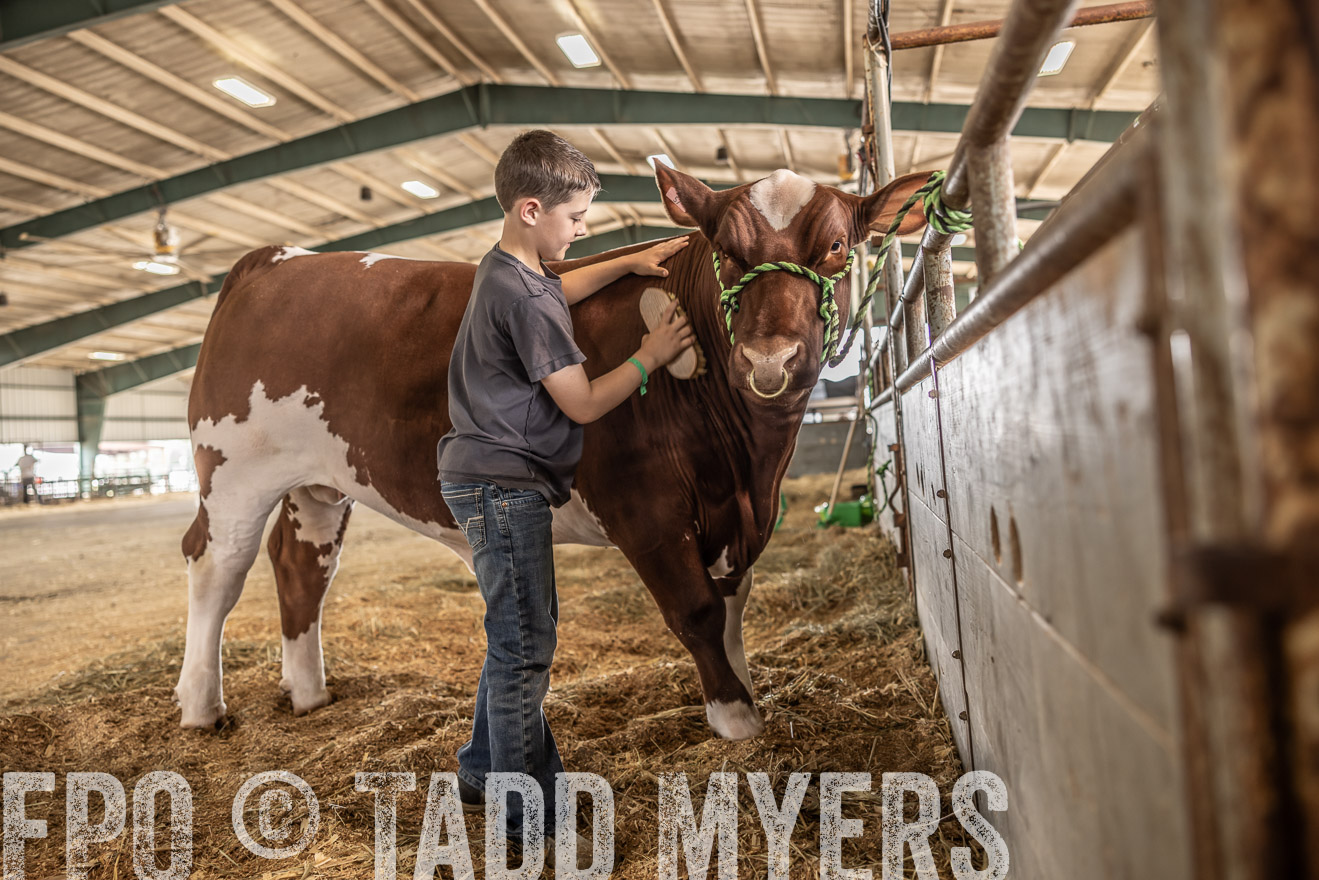 TMyers_PlotTwist_HEB_ConroeTX_April2024-518011