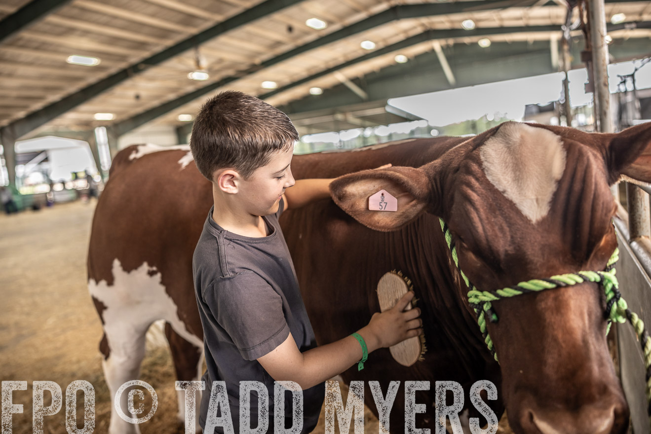 TMyers_PlotTwist_HEB_ConroeTX_April2024-518014