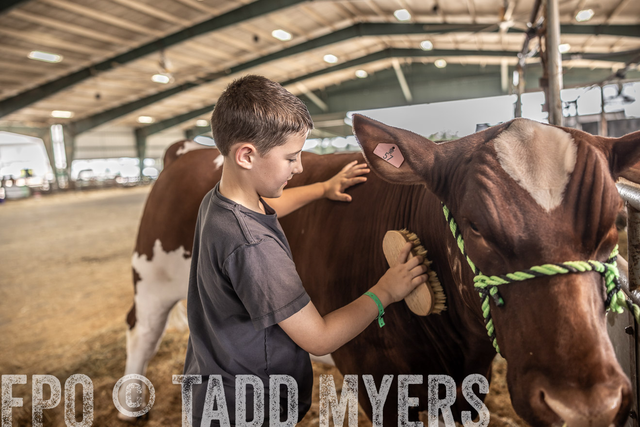 TMyers_PlotTwist_HEB_ConroeTX_April2024-518016