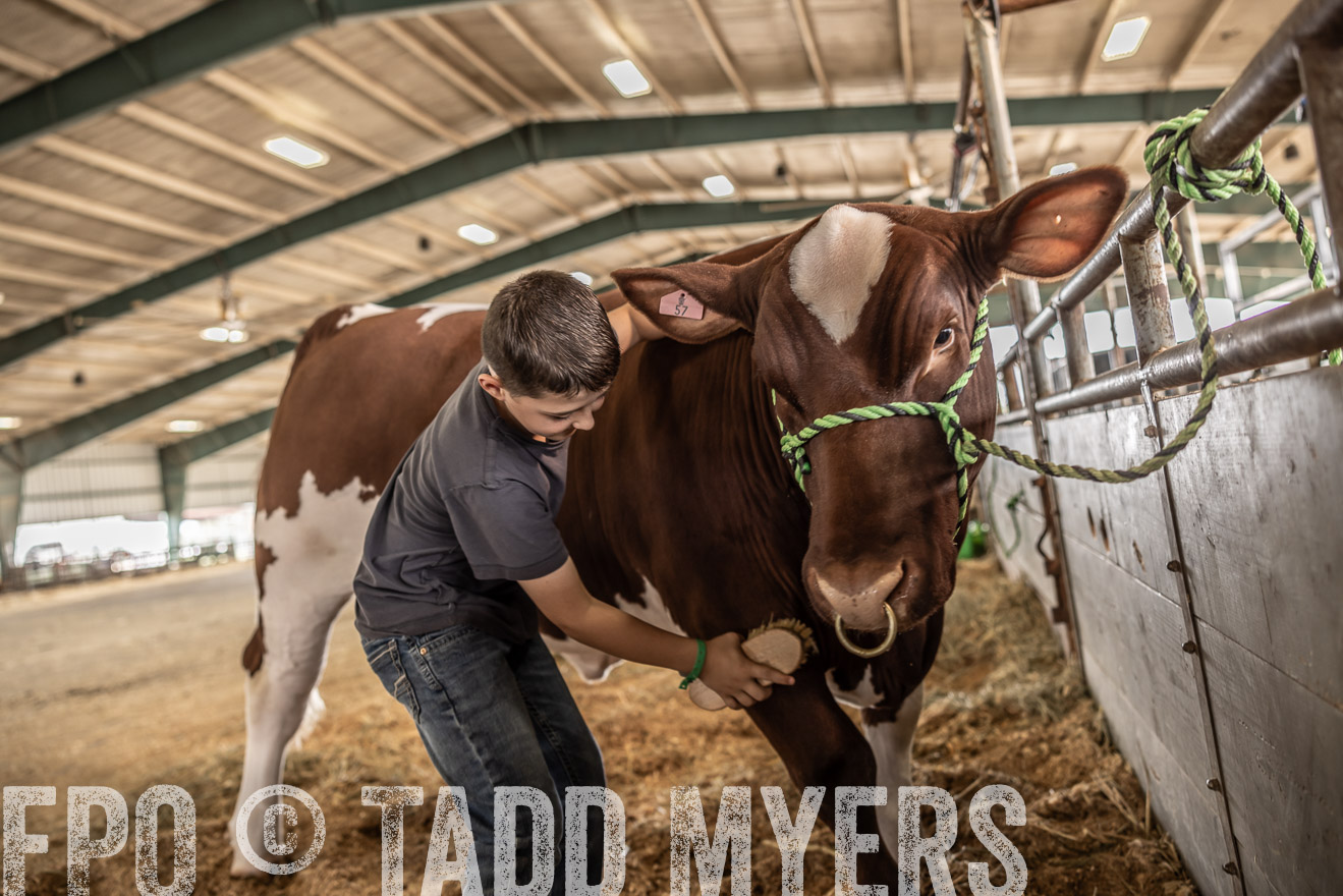 TMyers_PlotTwist_HEB_ConroeTX_April2024-518021