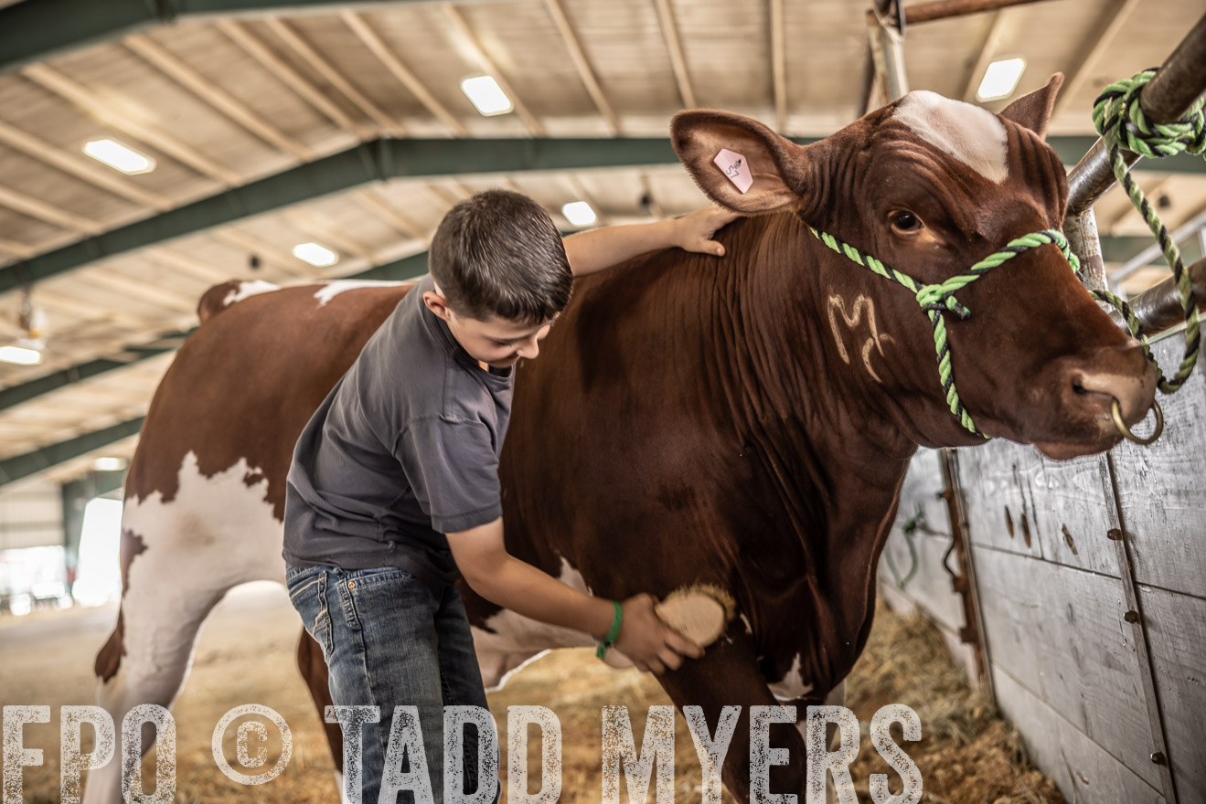 TMyers_PlotTwist_HEB_ConroeTX_April2024-518023