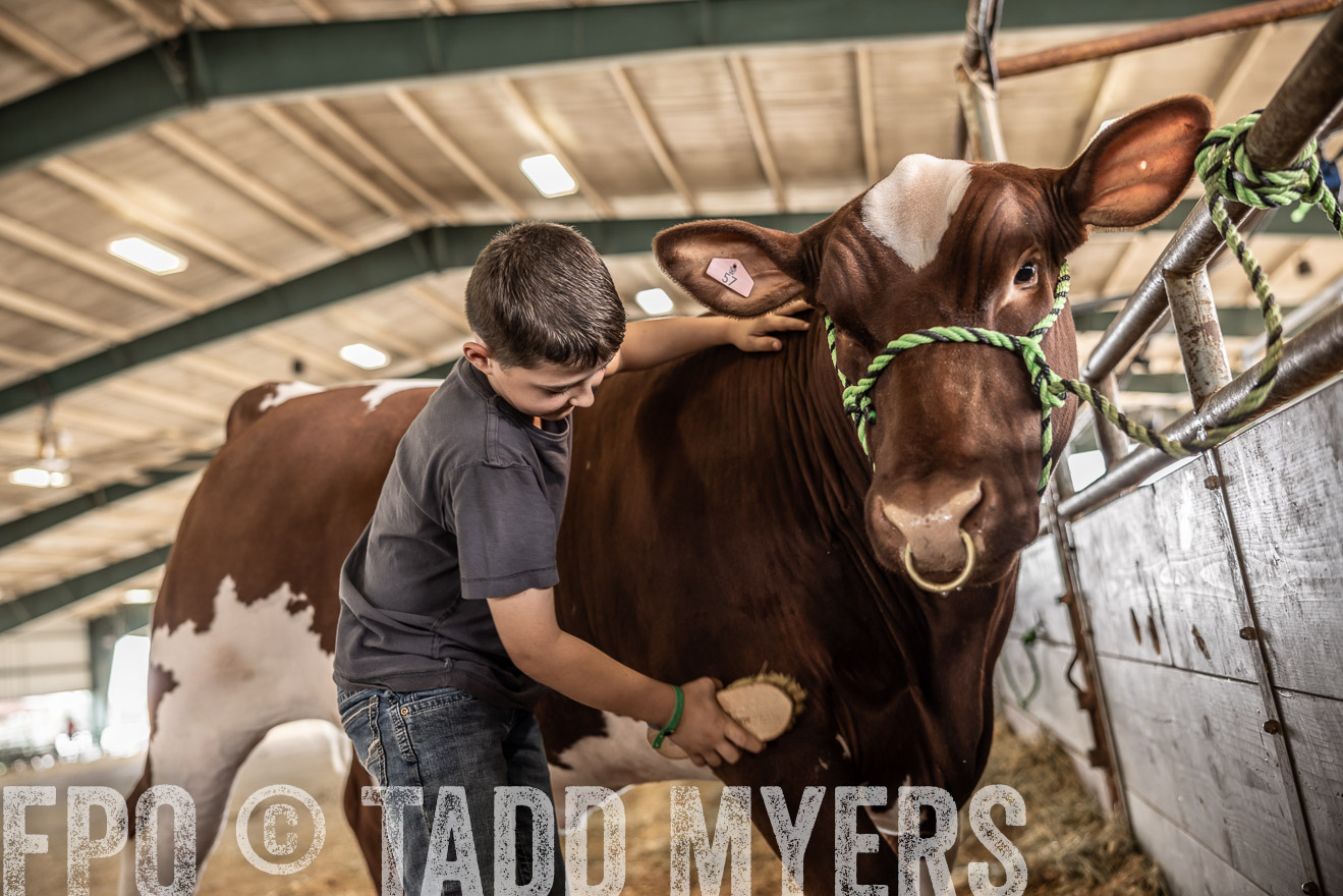 TMyers_PlotTwist_HEB_ConroeTX_April2024-518025