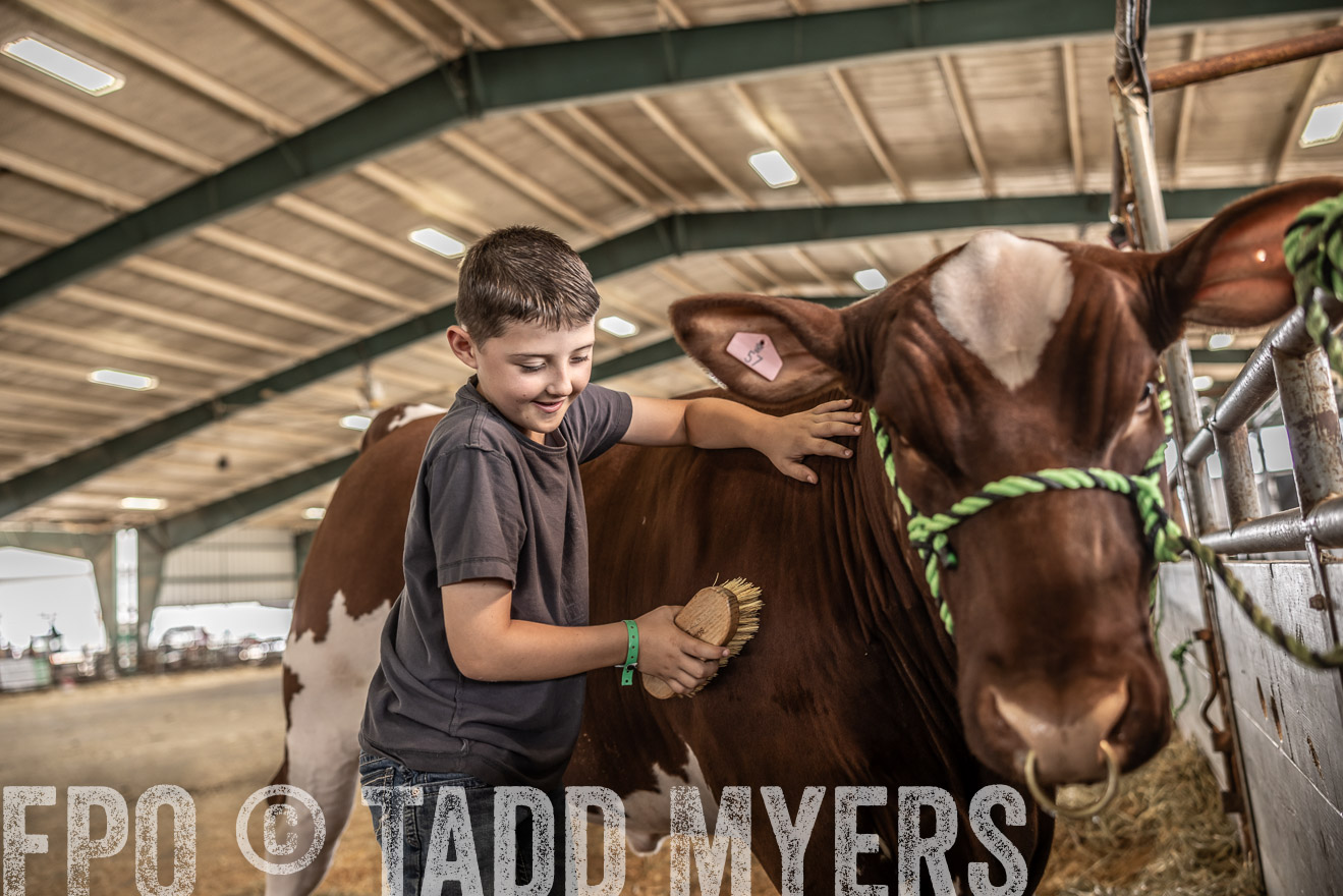 TMyers_PlotTwist_HEB_ConroeTX_April2024-518038
