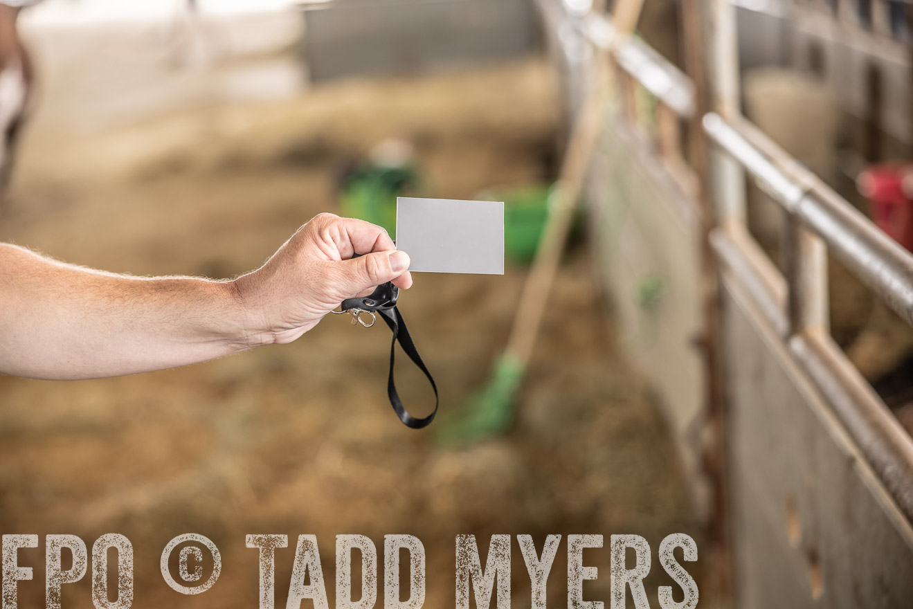 TMyers_PlotTwist_HEB_ConroeTX_April2024-518042