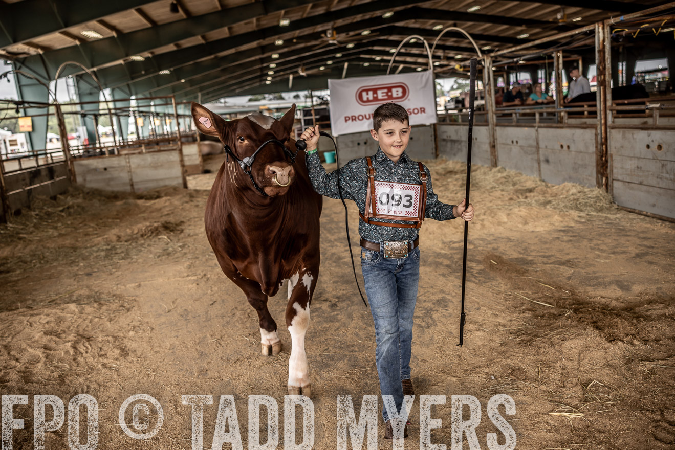 TMyers_PlotTwist_HEB_ConroeTX_April2024-518085